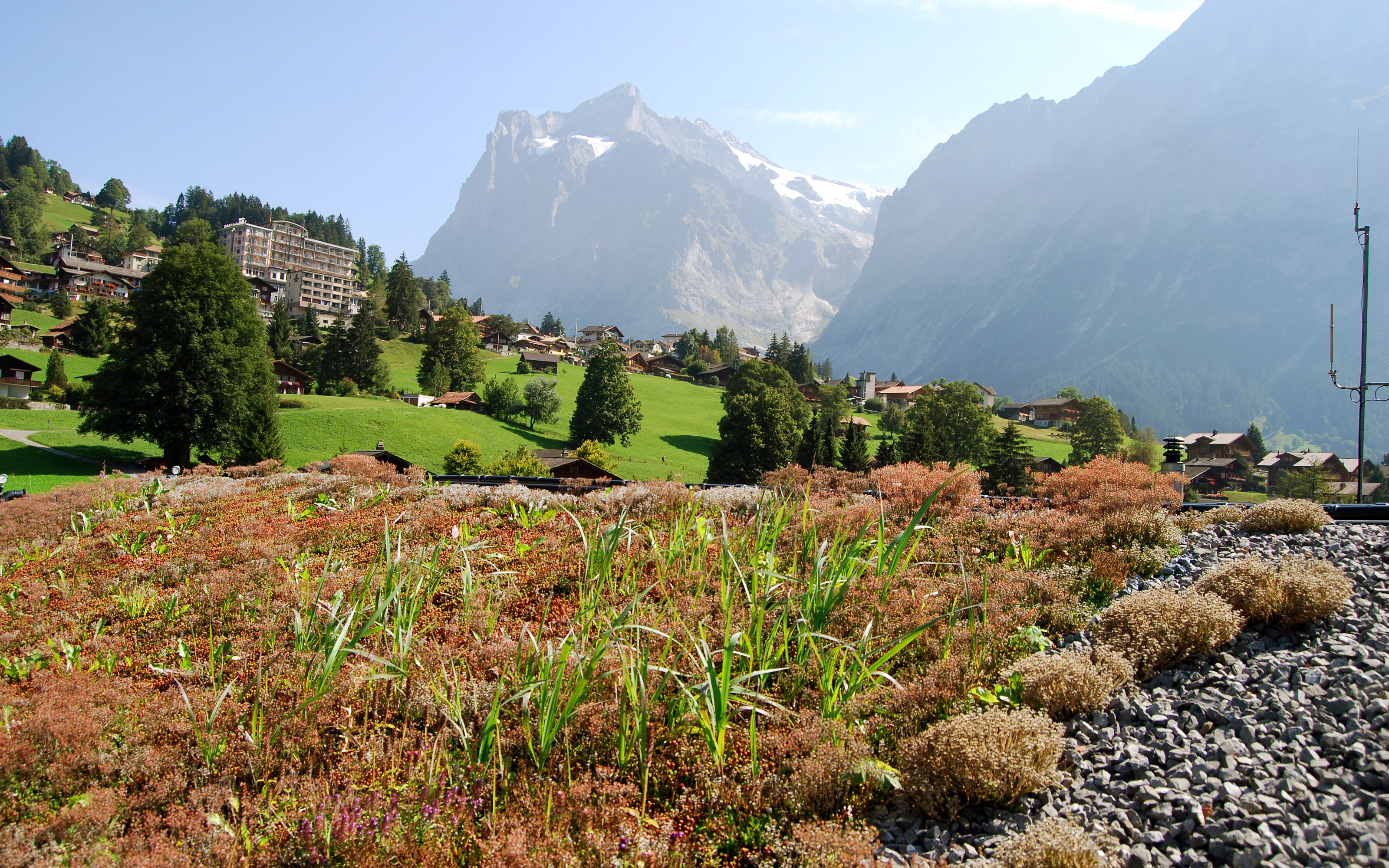 Pre-cultivated vegetation mats offered immediate ground coverage. Extensive green roof